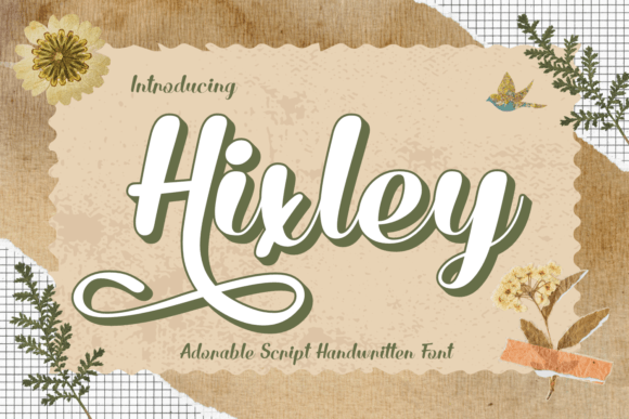 Transform Your Brand with Hixley: A Charming Handwritten Script Font